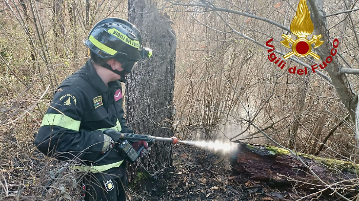 Fiamme nel bosco: intervento dei vigili del fuoco in una zona impervia