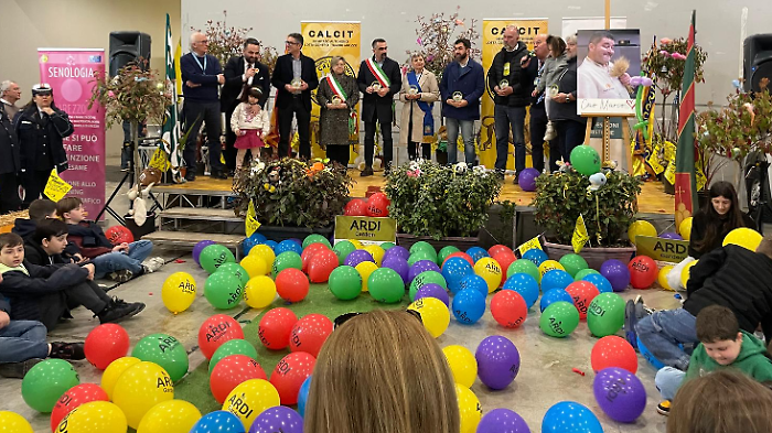 In migliaia alla Festa dei bambini Calcit tra gioco e scuola di vita: salute, beneficenza e Saracino baby