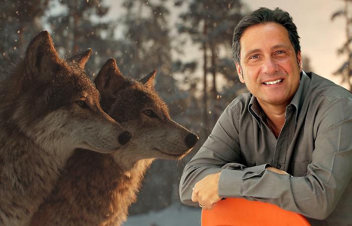 "Il lupo? Una benedizione. I veri predatori del pianeta siamo noi". Le stoccate di Mario Tozzi su fauna e clima