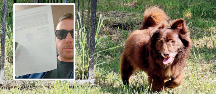 "Il mio cane Choco ucciso cos&igrave;. Ora voglio verit&agrave; e giustizia". Il racconto di Leonardo Magi, la denuncia, la ricerca del testimone