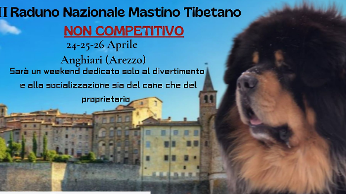 Ad Anghiari il raduno nazionale del mastino tibetano