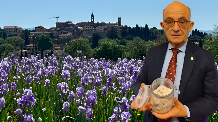 Pier Luigi Rossi