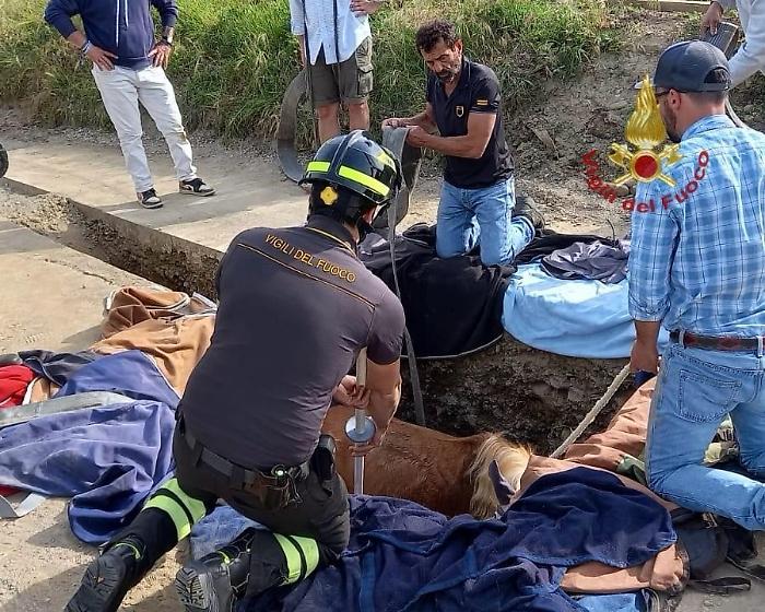 Il cavallo dentro la buca