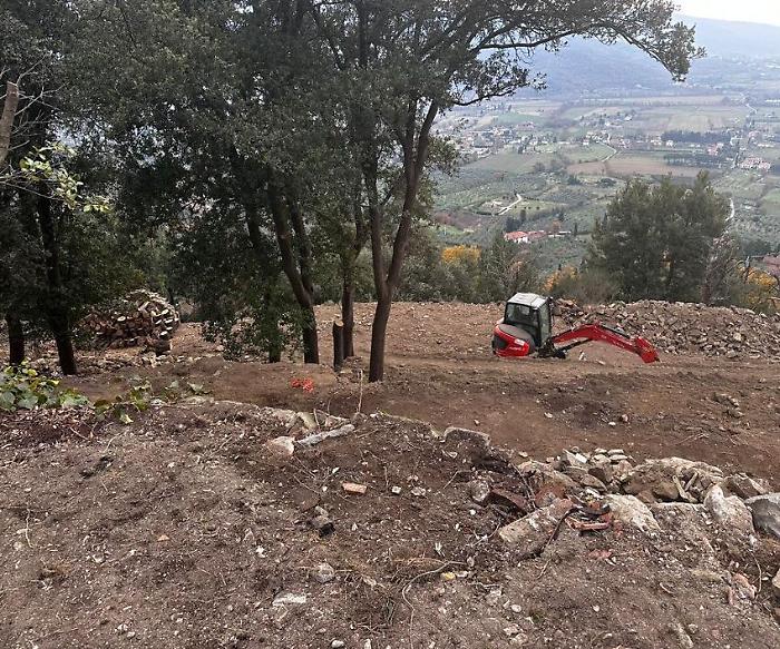 L'area di Mammi