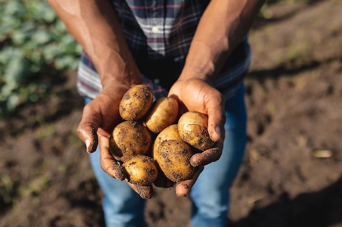 World Food Day, "Potatoes Forever!" celebra la sostenibilità