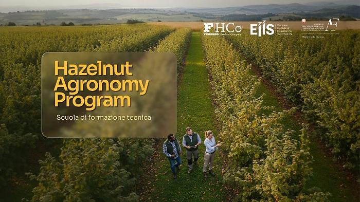 Al via l'Hazelnut Agronomy Program promosso da Ferrero, Eiis e Conaf