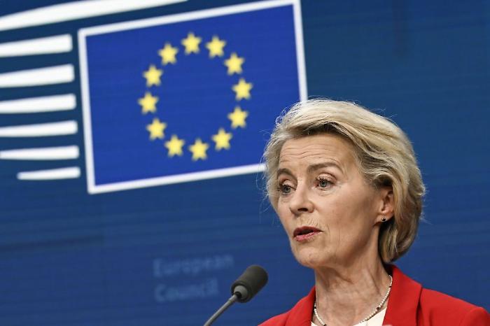 Ucraina, von der Leyen "Proseguiremo sostegno per tutto il tempo necessario"