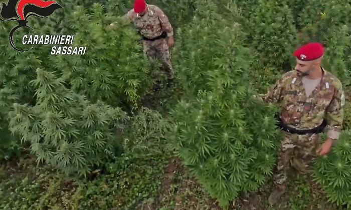 Blitz antidroga in Sardegna, 21 misure cautelari